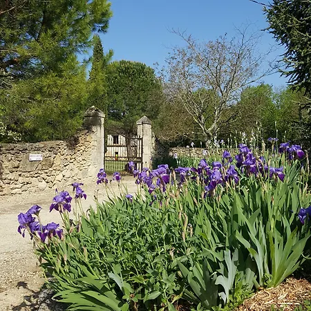 ベッド・アンド・ブレックファスト D'hotes Domaine De La Brette Moncrabeau