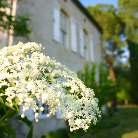 D'hotes Domaine De La Brette ベッド・アンド・ブレックファスト Moncrabeau